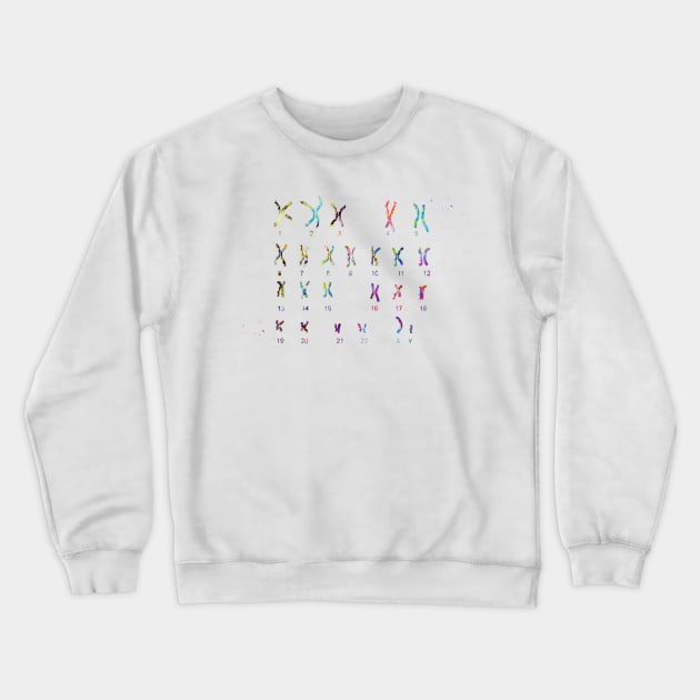 Male Chromosome idiogram Crewneck Sweatshirt by erzebeth